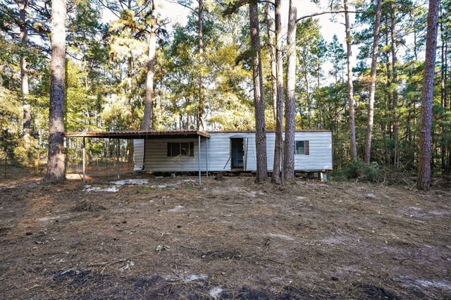 1 Ellis Court, Coldspring, TX 77331