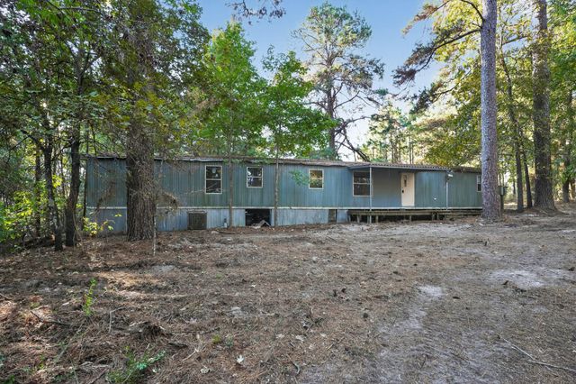 1 Ellis Court, Coldspring, TX 77331