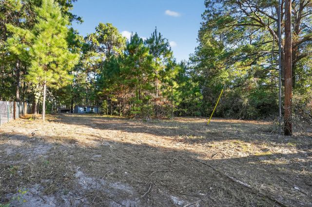 1 Ellis Court, Coldspring, TX 77331