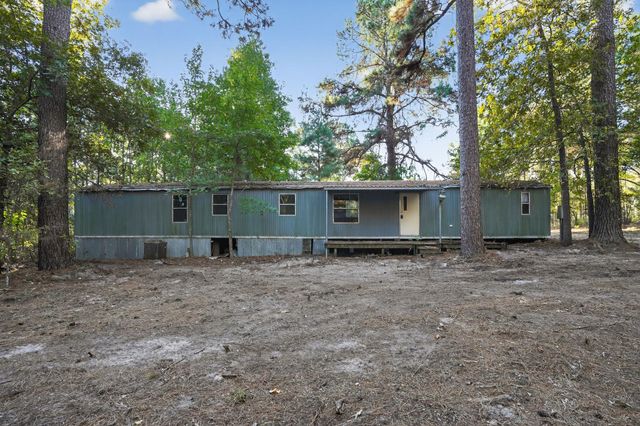 1 Ellis Court, Coldspring, TX 77331