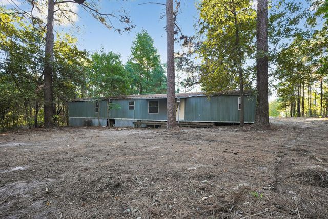 1 Ellis Court, Coldspring, TX 77331