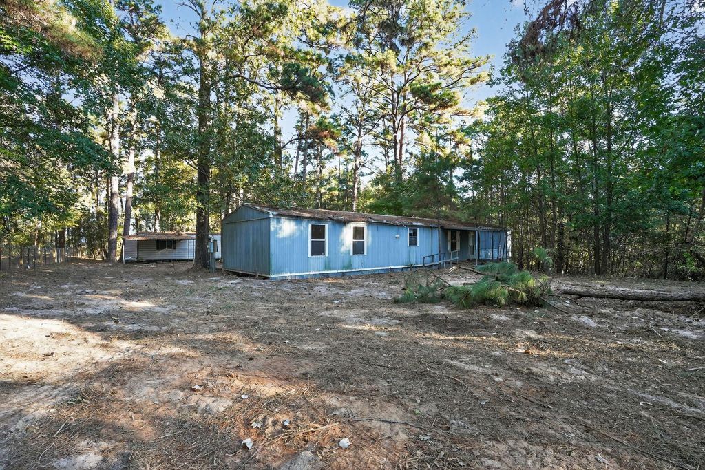 1 Ellis Court, Coldspring, TX 77331