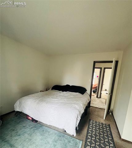 5916 Wolf Creek Place, Colorado Springs, CO 80918