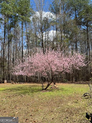 6233 Ga Highway 87, Macon, GA 31210