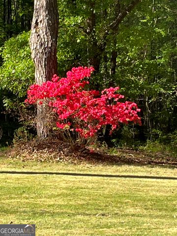 6233 Ga Highway 87, Macon, GA 31210
