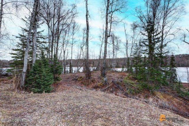 16606 W Susitna Parkway, Big Lake, AK 99652