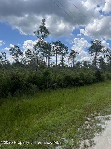 00 Ramsey Road, Brooksville, FL 34614