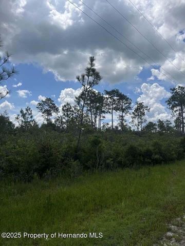 00 Ramsey Road, Brooksville, FL 34614
