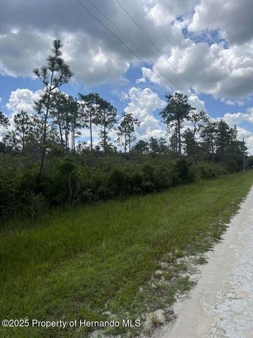 00 Ramsey Road, Brooksville, FL 34614