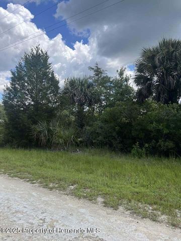 00 Ramsey Road, Brooksville, FL 34614