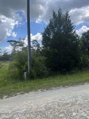00 Ramsey Road, Brooksville, FL 34614