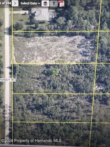 00 Ramsey Road, Brooksville, FL 34614
