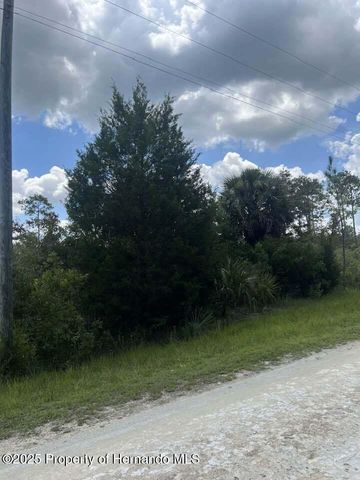 00 Ramsey Road, Brooksville, FL 34614
