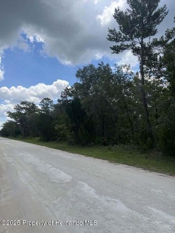 00 Ramsey Road, Brooksville, FL 34614