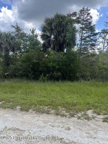00 Ramsey Road, Brooksville, FL 34614