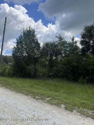 00 Ramsey Road, Brooksville, FL 34614