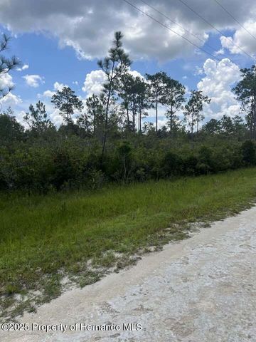 00 Ramsey Road, Brooksville, FL 34614