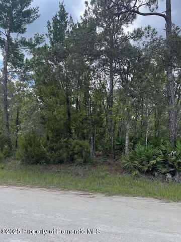00 Ramsey Road, Brooksville, FL 34614