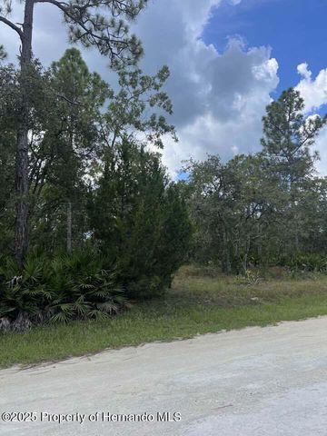 00 Ramsey Road, Brooksville, FL 34614