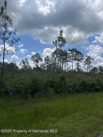 00 Ramsey Road, Brooksville, FL 34614