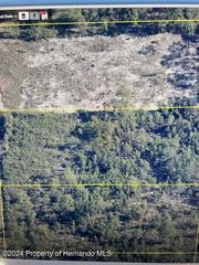 00 Ramsey Road, Brooksville, FL 34614