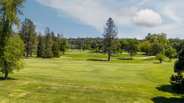 11594 Redwing Ct, Penn Valley, CA 95946