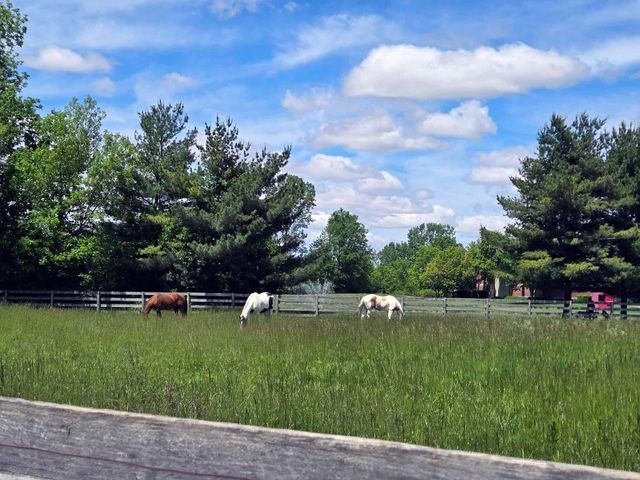 6600 Davis Road, Hilliard, OH 43026