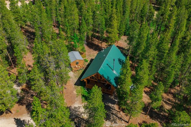 324 Ski Doo Road, Fairplay, CO 80440