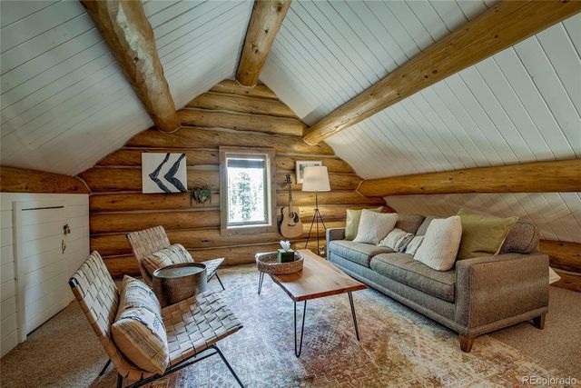 324 Ski Doo Road, Fairplay, CO 80440