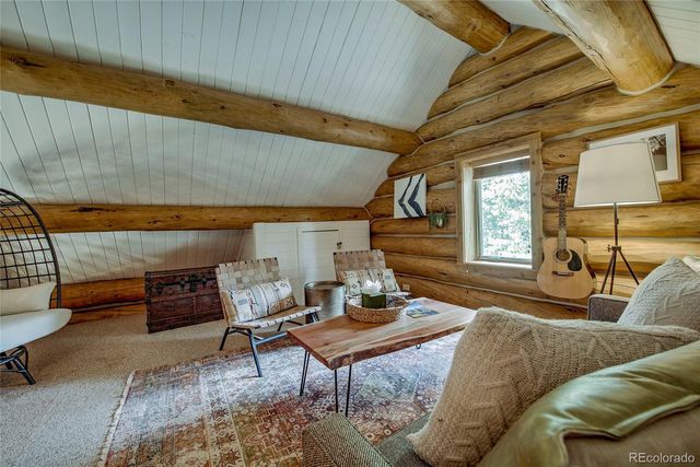 324 Ski Doo Road, Fairplay, CO 80440