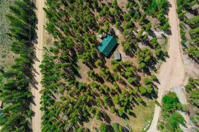 324 Ski Doo Road, Fairplay, CO 80440