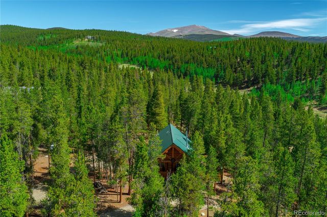 324 Ski Doo Road, Fairplay, CO 80440