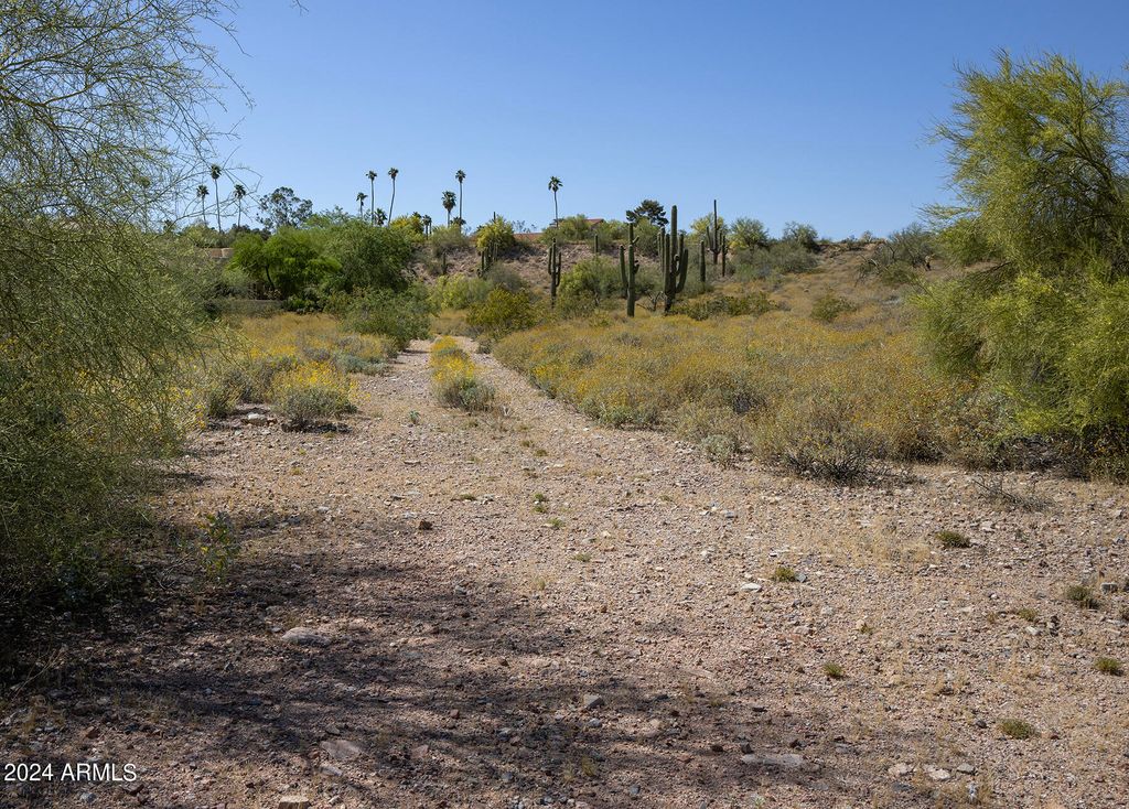 11008 N Appian Way 1A, Fountain Hills, AZ 85268 — photo 2
