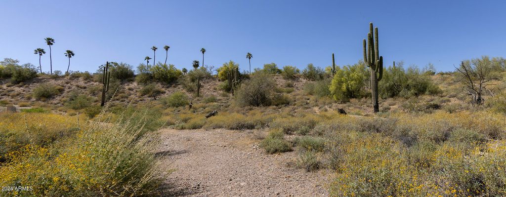 11008 N Appian Way 1A, Fountain Hills, AZ 85268 — photo 5