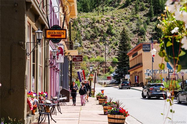 2121 Hummingbird Way 204, Georgetown, CO 80444