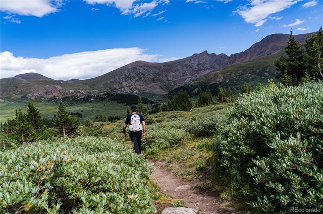 2121 Hummingbird Way 204, Georgetown, CO 80444