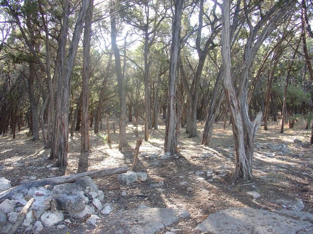 1400 Lisa DR, Austin, TX 78733