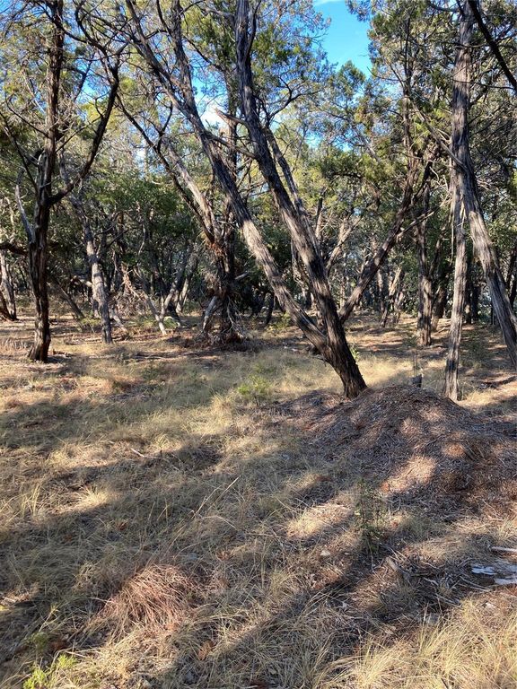 1400 Lisa DR, Austin, TX 78733