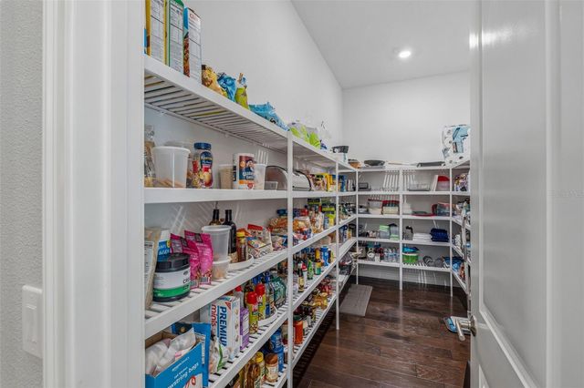 3636 MADISON CYPRESS DRIVE, Lutz, FL 33558