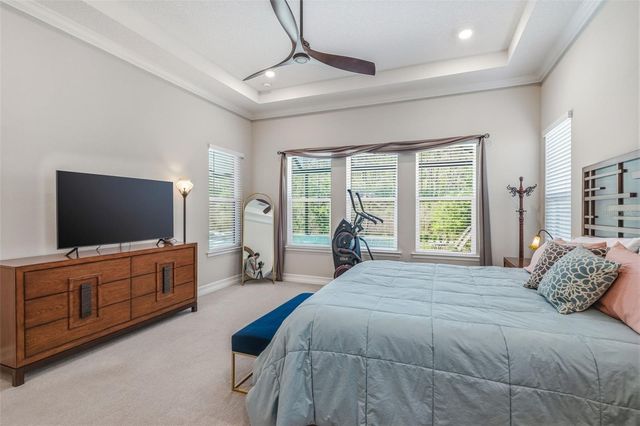 3636 MADISON CYPRESS DRIVE, Lutz, FL 33558