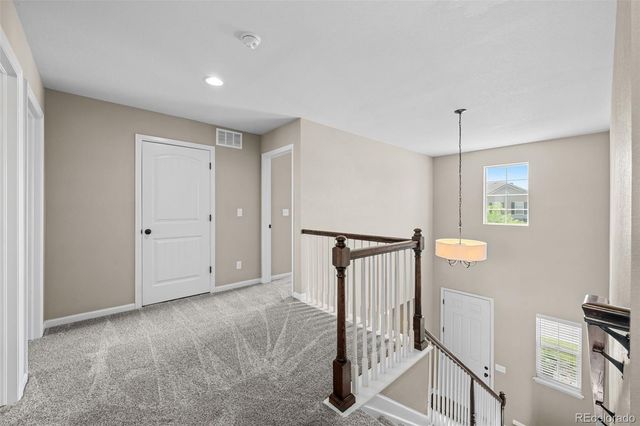 7641 Blue Water Drive, Castle Rock, CO 80108