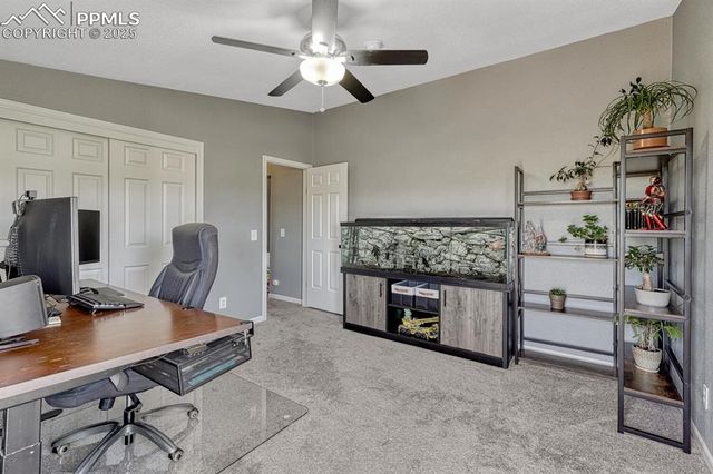 15371 Buck Creek Road, Elbert, CO 80106