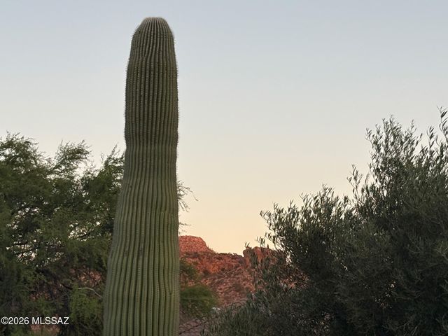 13575 N Holly Grape Drive, Marana, AZ 85658