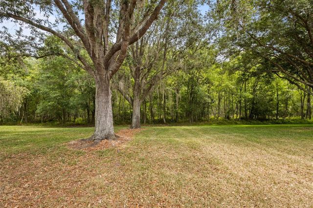 18543 BITTERN AVENUE, Lutz, FL 33558