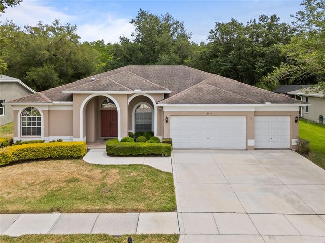 18543 BITTERN AVENUE, Lutz, FL 33558