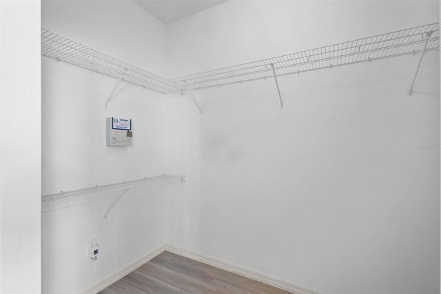 18543 BITTERN AVENUE, Lutz, FL 33558