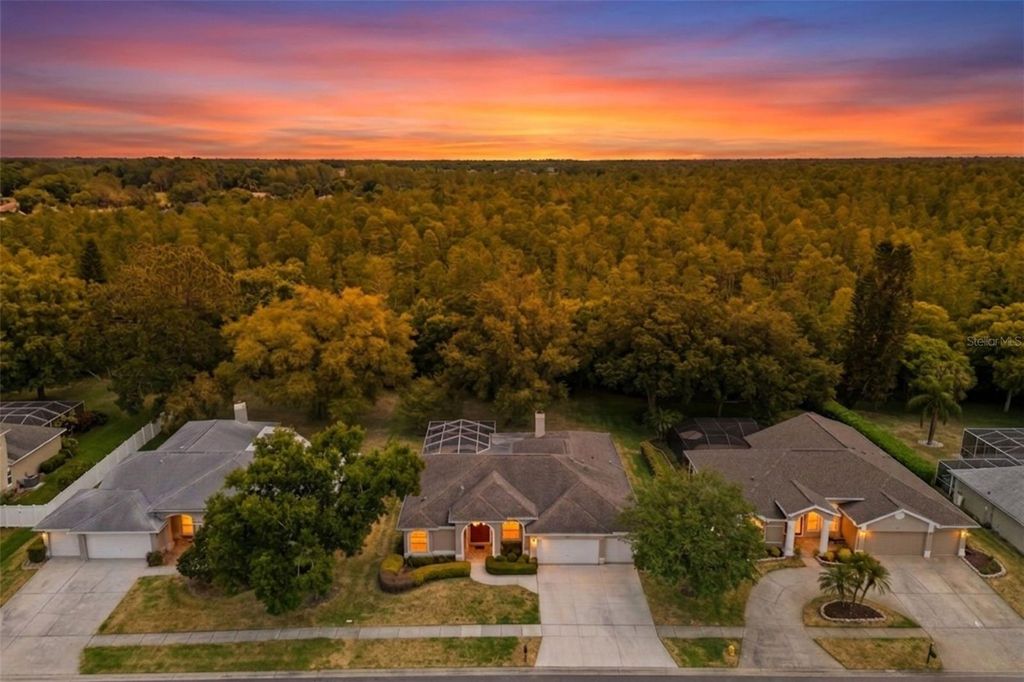 18543 BITTERN AVENUE, Lutz, FL 33558