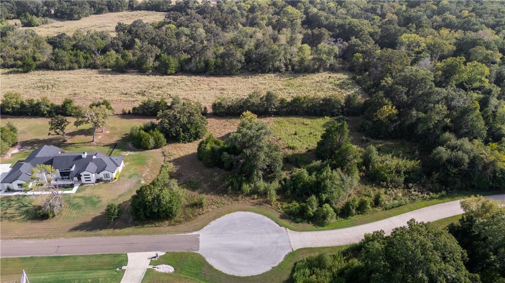 9905 Scarborough Drive, Iola, TX 77861 — photo 3