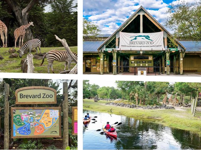 Tbd Burney Street SW, Palm Bay, FL 32908