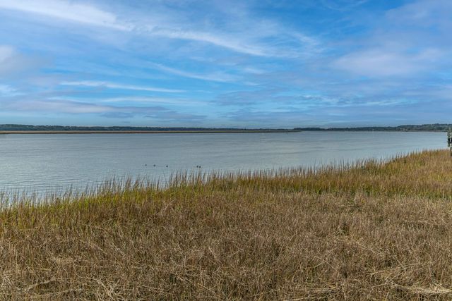 2457 Lieutenant Dozier Drive, Johns Island, SC 29455